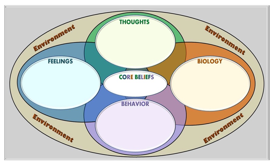 The cycle of depression - Dr. Rob Dindigner